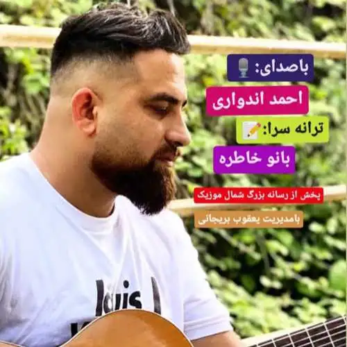 سیو مست
